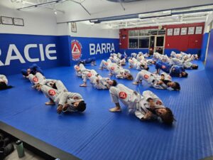 brazilian jiu jitsu classes near me